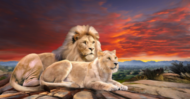 Kansas Lions 101st State Convention